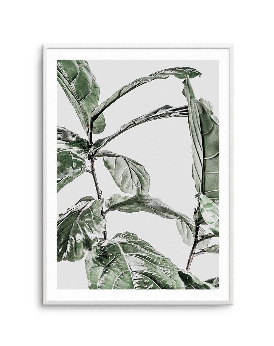 Abstract Fig I Art Print