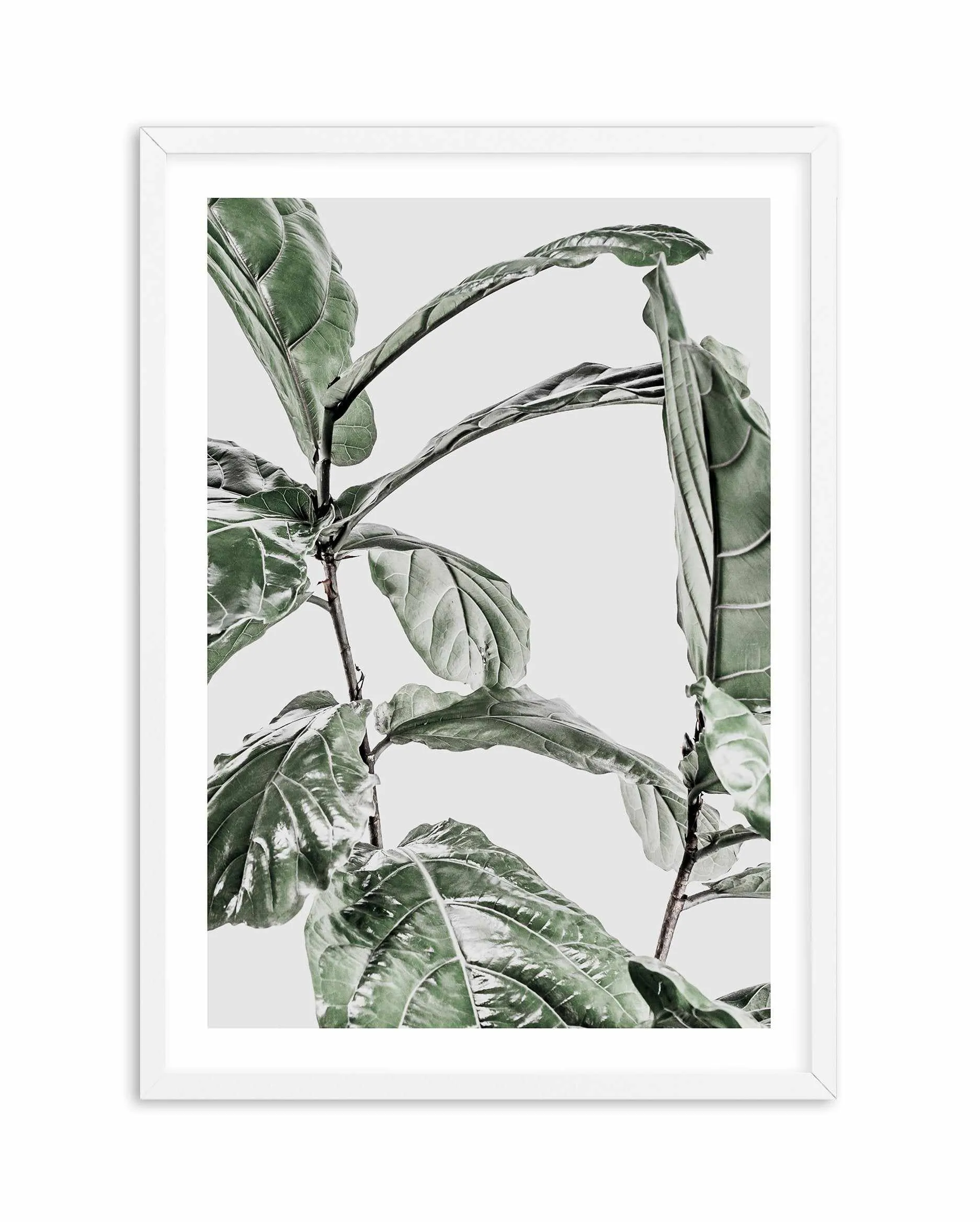 Abstract Fig I Art Print