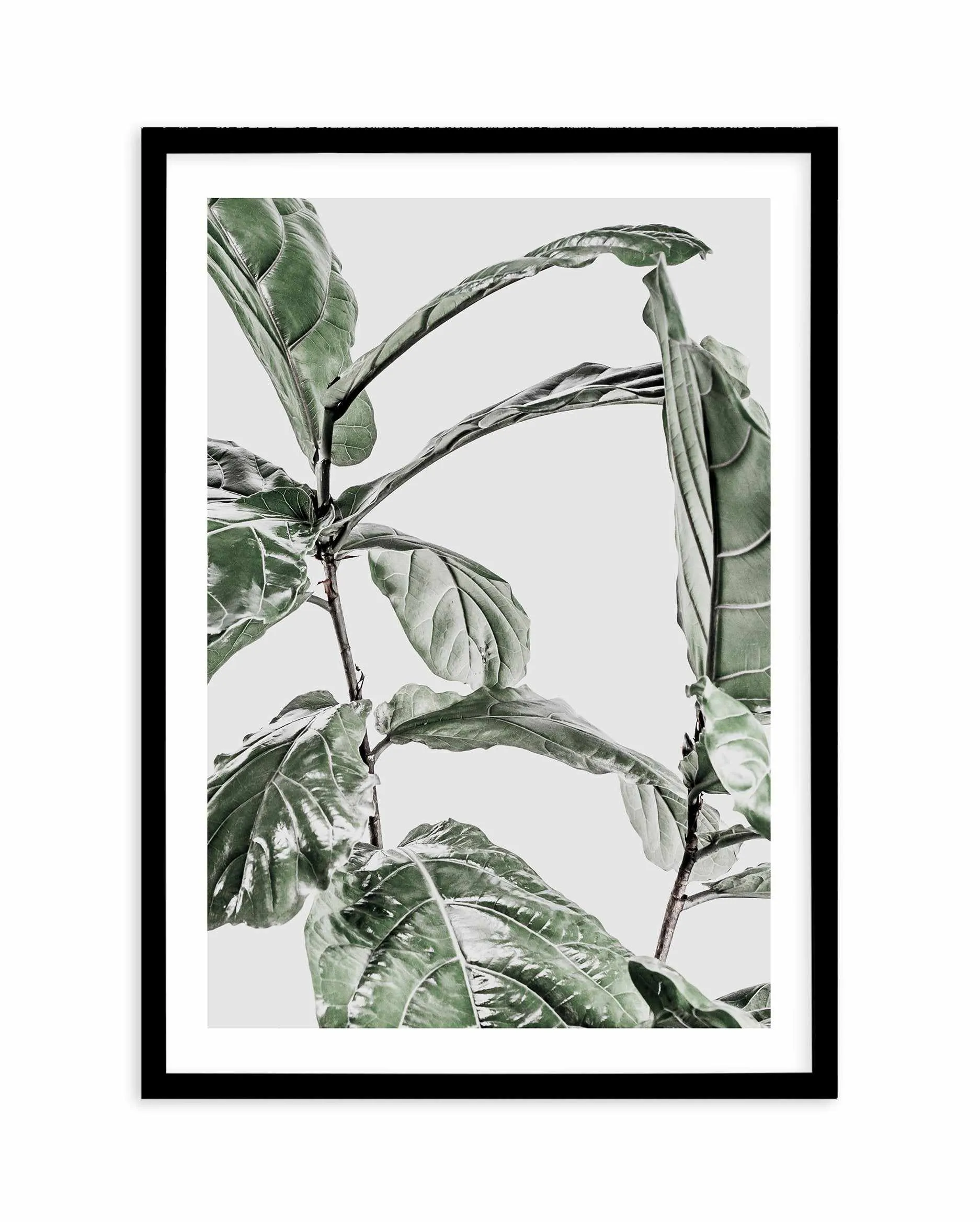 Abstract Fig I Art Print