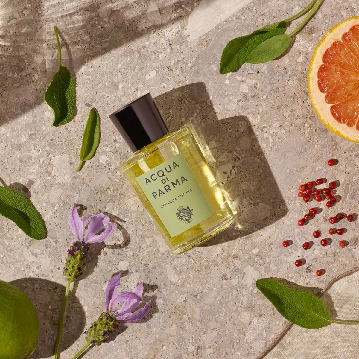 Acqua Di Parma Colonia Futura Eau De Cologne