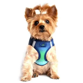 American River Ultra Choke Free Dog Harness- Ombre Collection - Northern Lights