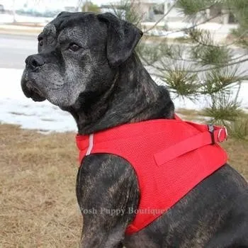 American River Ultra Choke Free Dog Harness- Red