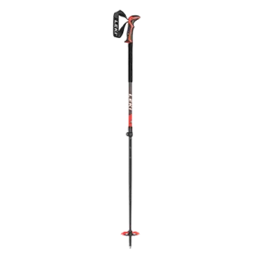 Backcountry Ski Pole Rental