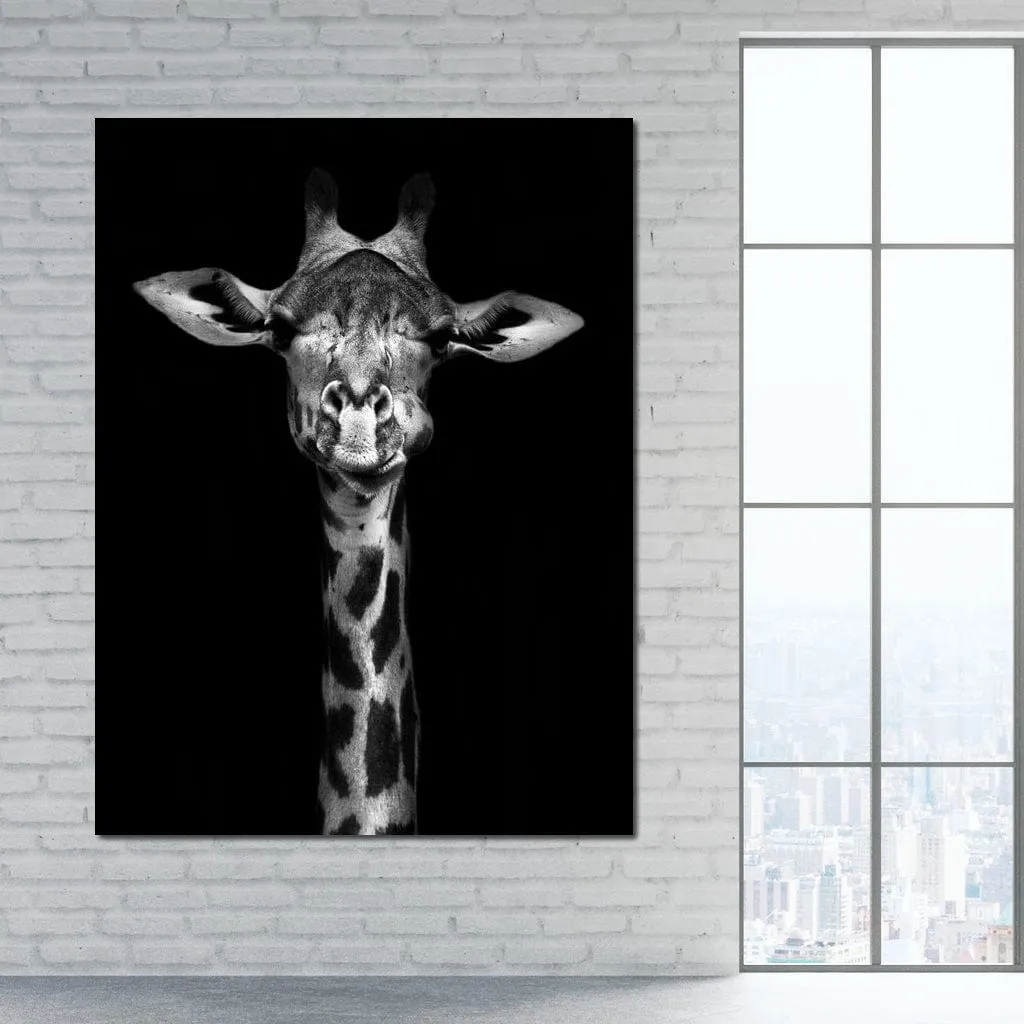 Black and White Giraffe