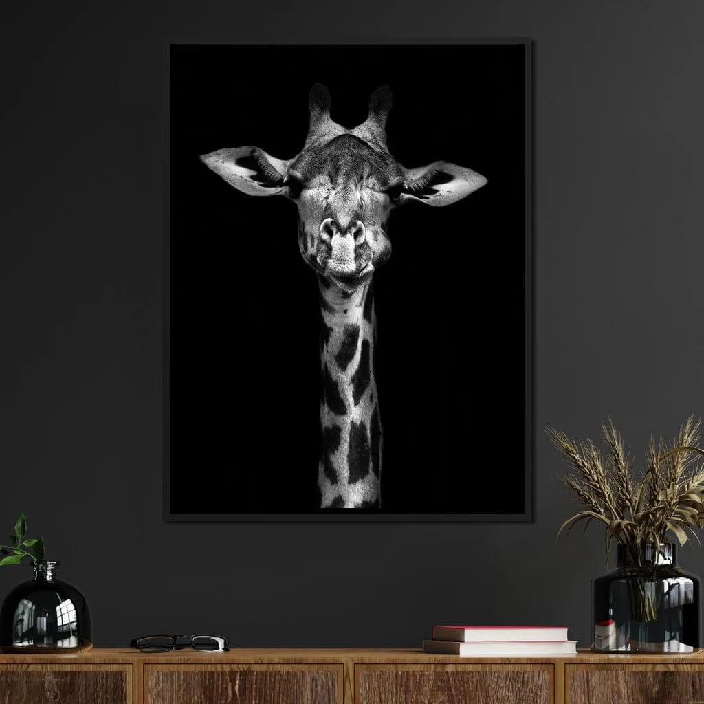 Black and White Giraffe