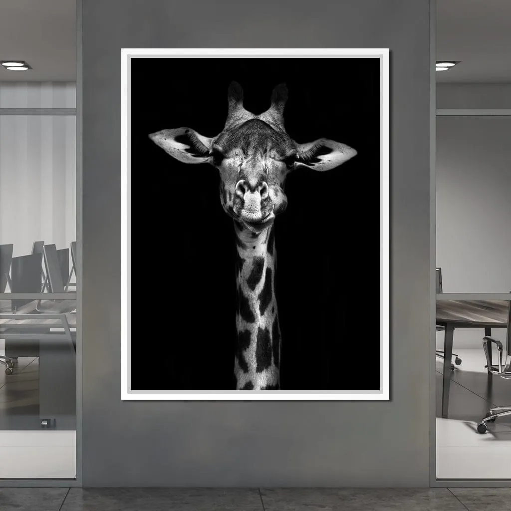 Black and White Giraffe