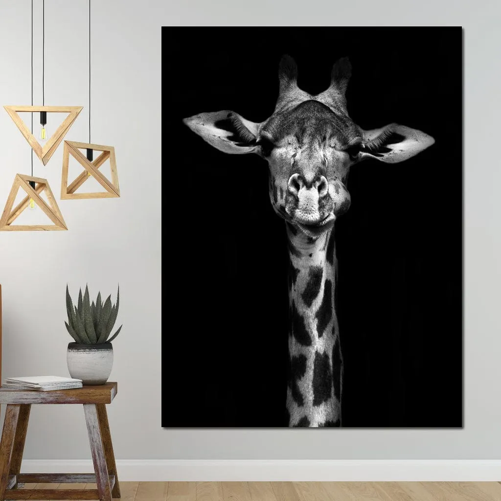 Black and White Giraffe