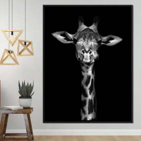 Black and White Giraffe