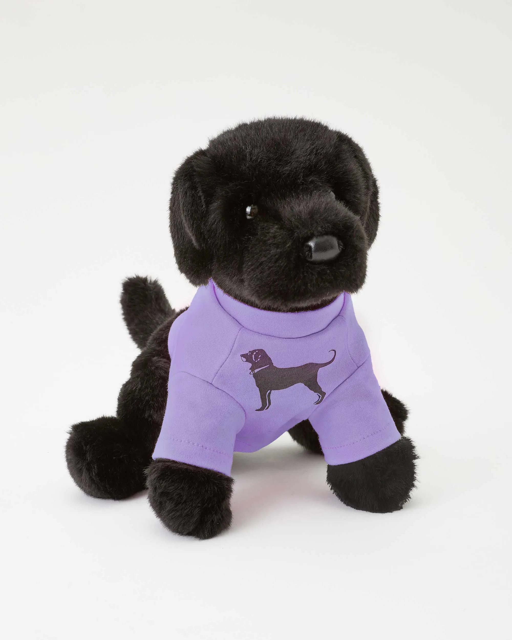 Black Dog T-shirt Puppy