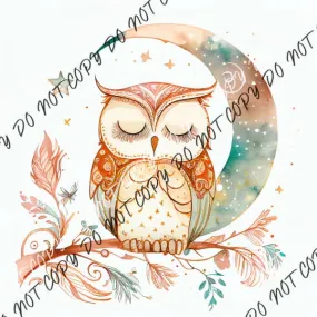 Boho Moon Owl Watercolor DTF Transfer