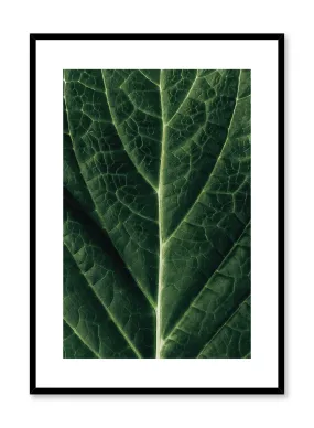 Detailed Leaf, Poster