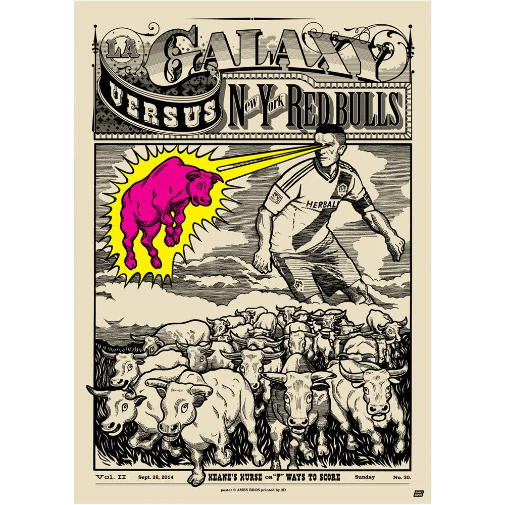 LA Galaxy vs New York Red Bulls Poster