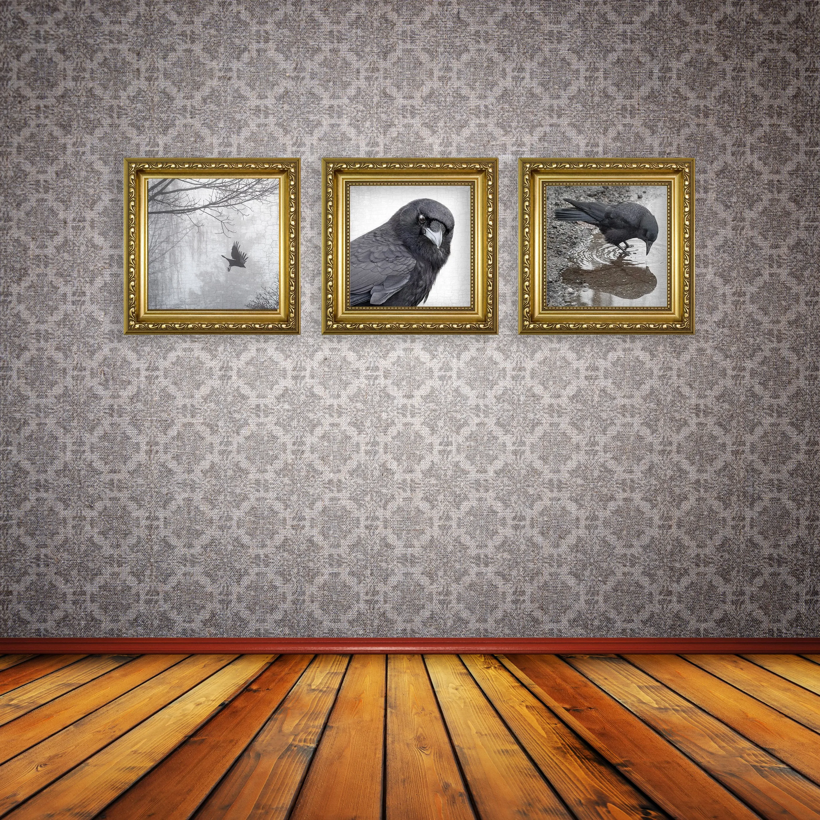 MAGNIFICENT MARVIN - Fine Art Print, Crow Portrait Series