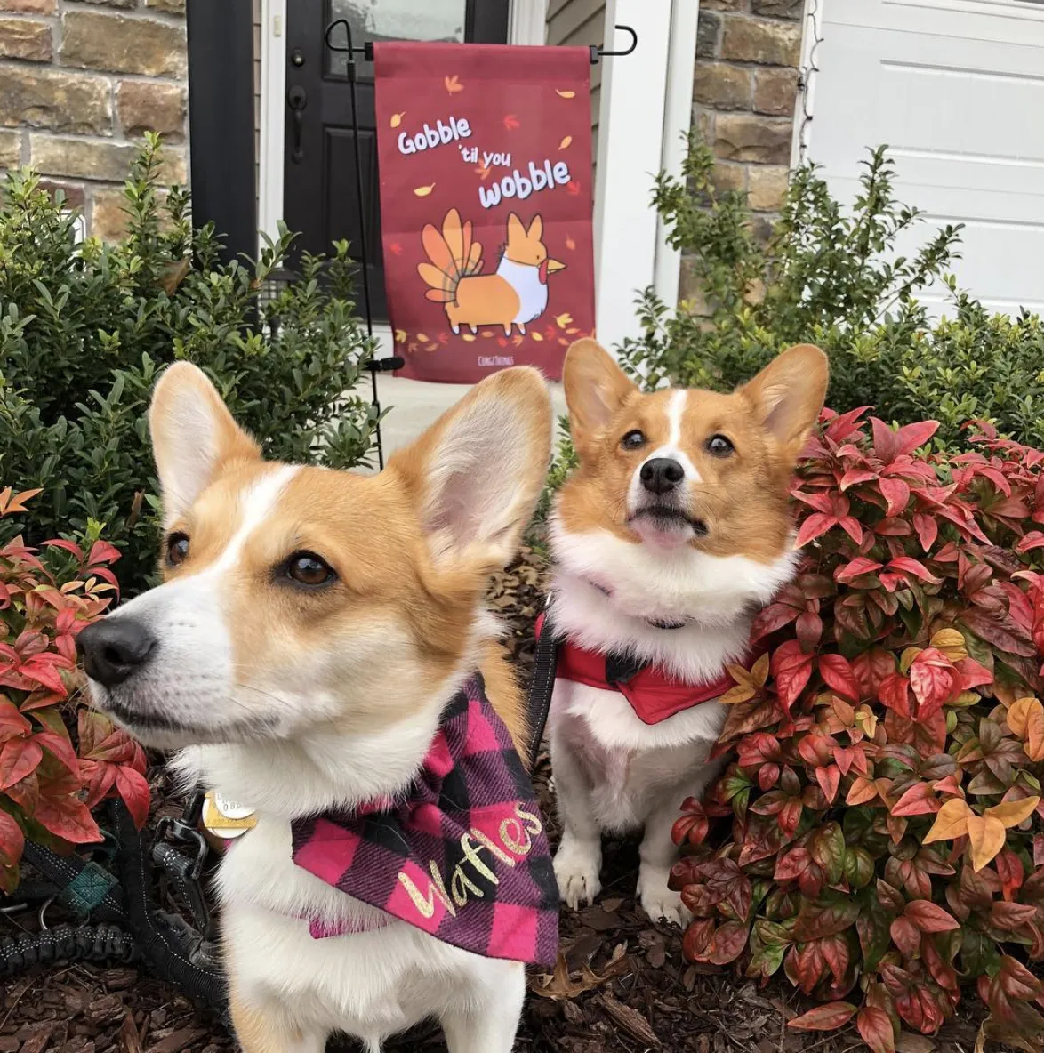 "Gobble 'Til You Wobble" Corgi Garden Flag