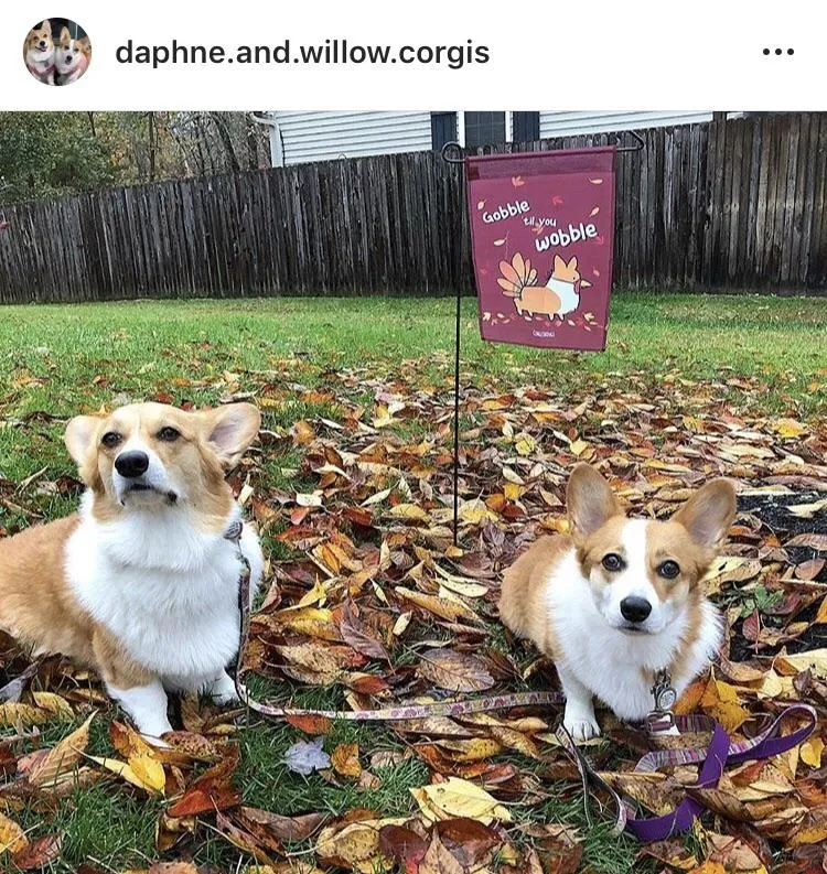 "Gobble 'Til You Wobble" Corgi Garden Flag