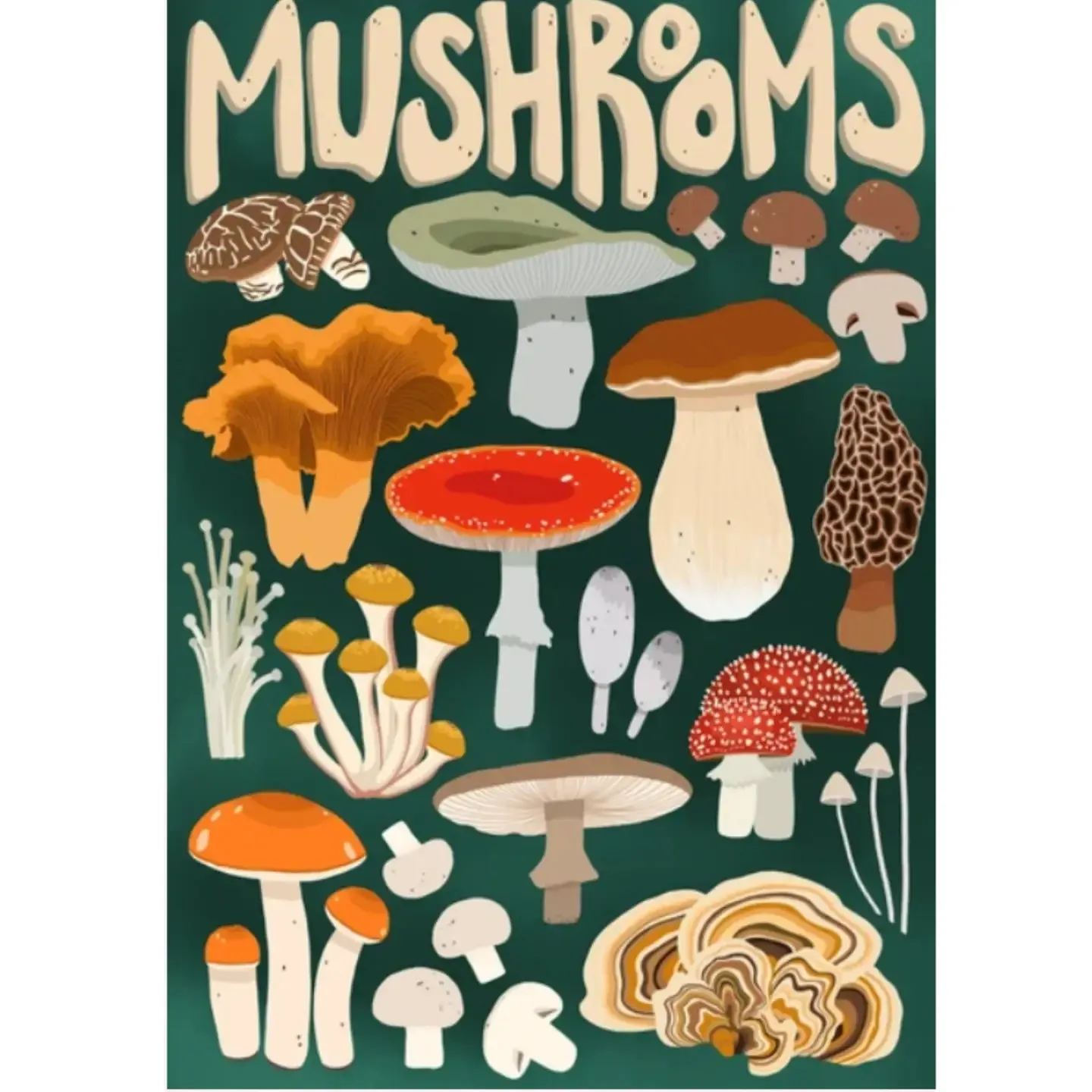 VILLAGER PUZZLES - CHAMPIGNONS - 1000 MORCEAUX